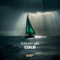 Cold - Elegant Ape