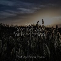 Salt Water - Meditacionessa & Relaxing Spa Music