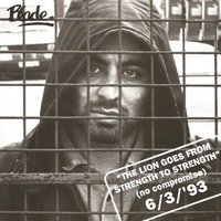 No Compromise - Blade