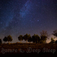 Lunar Lullaby - Beautiful Nature Music Paradise & Daily Relax Universe & Music For Absolute Sleep