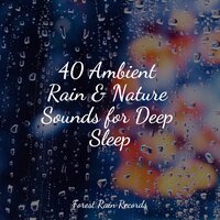 Forest, Morning, Birds - Sounds of Nature White Noise Sound Effects & Rain Man Sounds & ASMR Rain Sounds