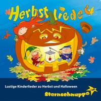 Ciao, ciao Sommer! (Schönes Kinderlied) - Sternschnuppe
