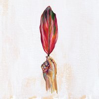 Caboclin - luiz gabriel lopes