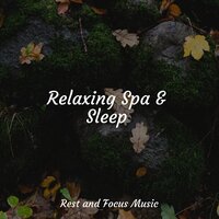 Peaceful Zen Garden - Entspannungsmusik & Oasis de Détente et Relaxation & Amazing Spa Music