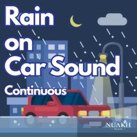 Rain on Car, Pt. 59 (Continuous) - Rain for Sleep & Rain Radiance