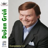 Budem čakať - Dušan Grúň