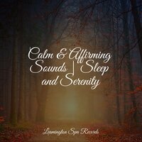 To the Moon - Oasis de Détente et Relaxation & Calming Sounds & Echoes of Nature
