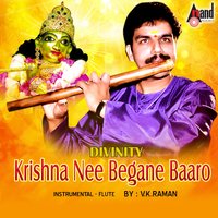 Radha Sametha Krishna - V. K. Raman
