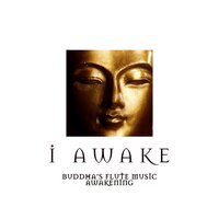 Slow Motion Meditation - Buddhist Meditation Music Set