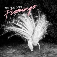 You Call That Decoration? - The Peacocks