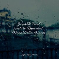 Rain, Storm and Thunder - The Rainforest Collective & The White Noise Zen & Meditation Sound Lab & Crying & Colic Relief