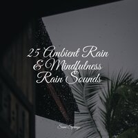 Rainy Summer - Entspannungsmusik Meer & White Noise Babies & Nature Sound Series