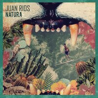 Bosque - Juan Rios