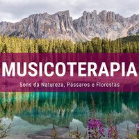 Essência Interior - Chakra Música Cura