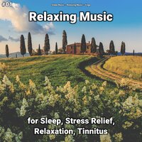 Relaxing Music, Pt. 28 - Sleep Music & Relaxing music & Yoga