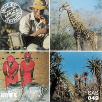 Mangwilo Melody - Joe Willis & Joe Moretti & Bez Martin & Romeo Avelino & Ron Franchitti & Pedro Espi-Sanchis