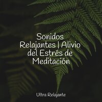 Escalofríos De Principios De Primavera - Meditación Maestro & Sons da Natureza Relax & Relajarse
