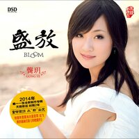 歌声与微笑 - 龚玥