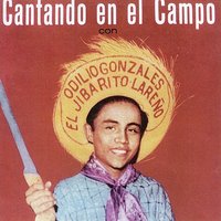 Pena, Tristeza y Dolor - Odilio Gonzalez