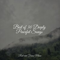 Tranquil Drops - Ruído branco & Oasis de Détente et Relaxation & Música para Massagem Especialistas