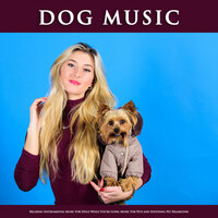 Peaceful Music for Dogs - Dog Music & Sleeping Music For Dogs & Dog Music Experience