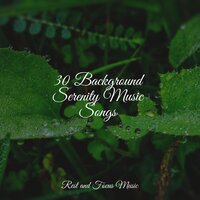 Sweet Dreams Melody - Mother Nature Sound FX & Relaxing Music Therapy & Nature Sounds Nature Music