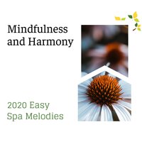 Relieve Stress - Spa Zen Melodies & Spa Music Relaxation