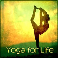 Positive Energy - Nature Meditation Academy