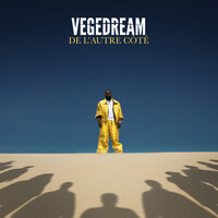 Faut être précis - Vegedream