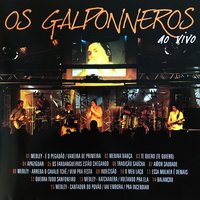 Medley: Cantador do Povão / Vai Embora / Pra Incendiar - Os Galponneros