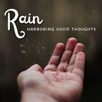 Pleasant Theory - Rain Radiance & Meditation Rain Sounds & Forest Rain FX