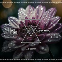 Let's All Chant - Steve Tosi