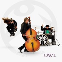 Pusher - Owl