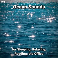Ocean Sounds Part 79 - shoreline sounds & Nature Sounds & Ocean Sounds