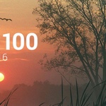 Топ 100 Muzmo октябрь 2016