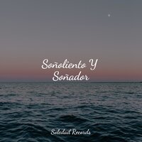 Bajando Al Río - Master Meditação & Relajantes sonidos de lluvia & Relajar