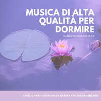 Emozionanti suoni della natura per addormentarsi - Lucia Gemma
