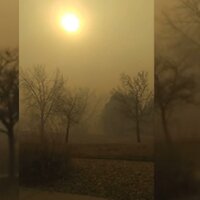 Evacuation - Here Be Locust