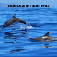 Beach Ocean Waves - The Nature Soundscapes & Nature Vibrations & Relaxing music