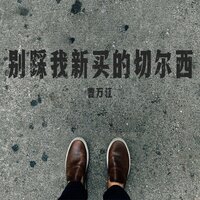 别踩我新买的切尔西 - 曹万江