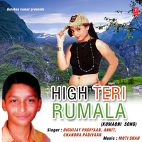 Hit Himatve Kaini - Digvijay Singh Padiyaar