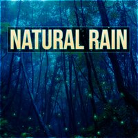 White Noise 4 Deep Sleep - Harmony Nature Sounds Academy