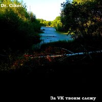 За Vk твоим слежу - Dr. Cikoriy