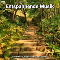 Entspannende Musik pt. 83 - Entspannungsmusik Bea Jenges & Schlafmusik & Entspannungsmusik