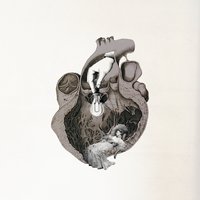 Feed on Me - Jon Cohen Experimental