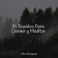 Un Lugar Tranquilo - Musica Para Niños & Sonidos de lluvia para dormir & Musica Relajante Specialistas & Musica Relajante