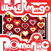 Breaking Your Heart - Walter Meego