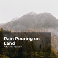Wilderness Thunderstorm - Rain Recorders & Rainfall & Nature Rain Relaxation
