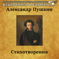 Поэт - Аудиокнига в кармане