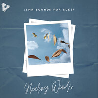 Refresh - ASMR Sounds for Sleep & Relax Meditate Sleep
